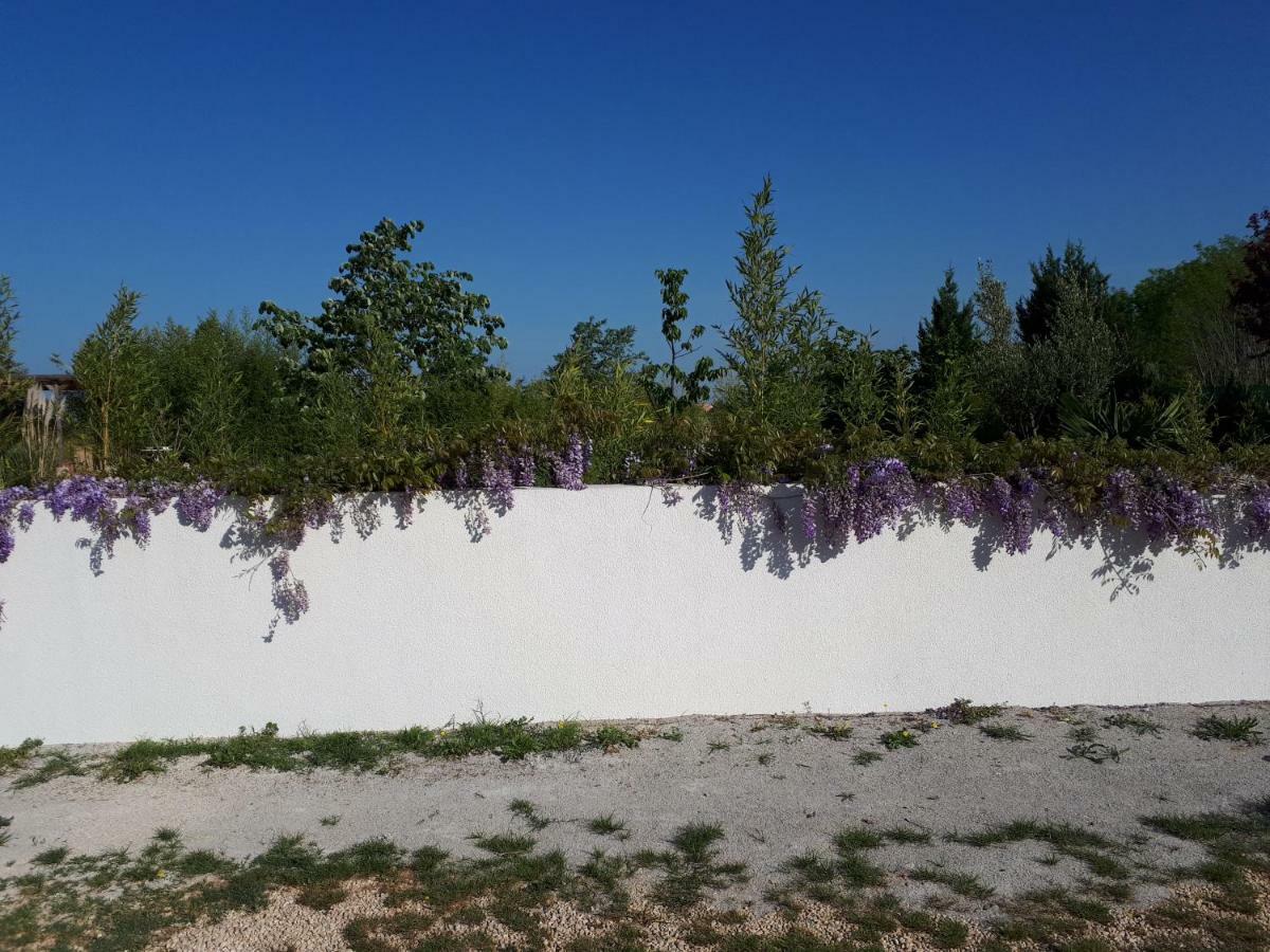 Chiara With Private Pool And Garden Vila *